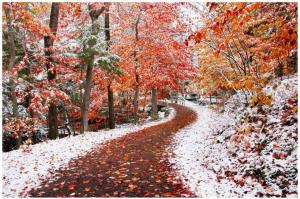 autumn_w_winter-398735