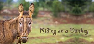 Ridiing on a Donkey
