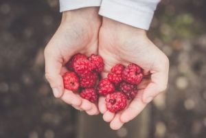 Faithfulness - annie-spratt-bB0EsYazzXY-unsplash