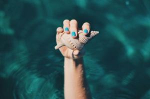 Wet - biel-morro-WW08JFg8SuI-unsplash