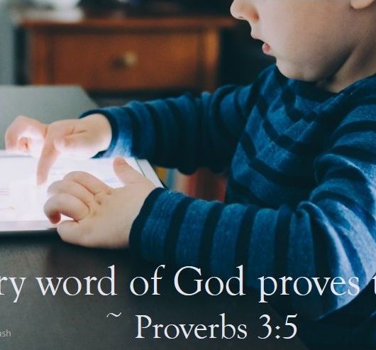 small boy using a tablet