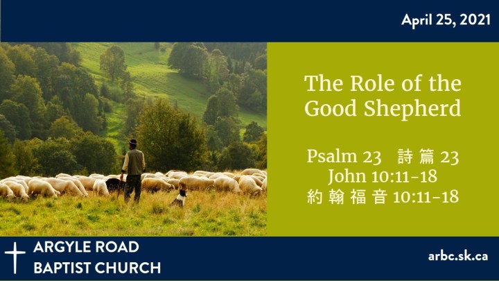 picture of a shepherd and sheep to illustrate the sermon titled "The Role of the Good Shepherd"