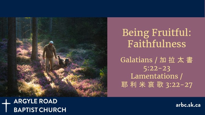 picture of a man walking through woods with his dog. The forest floor is covered in purple and gold flowers illuminated by sunshine, with long shadows.