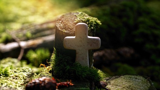 a small stone cross in front of a tree stump in a verdant forest