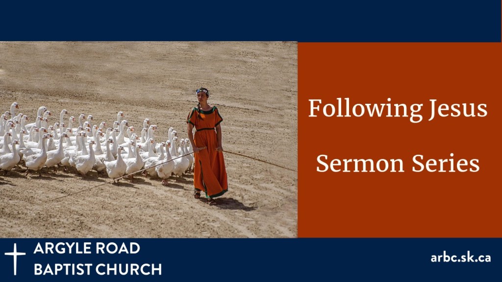 photo of a woman in a red dress leading a flock of geese over sandy soil.