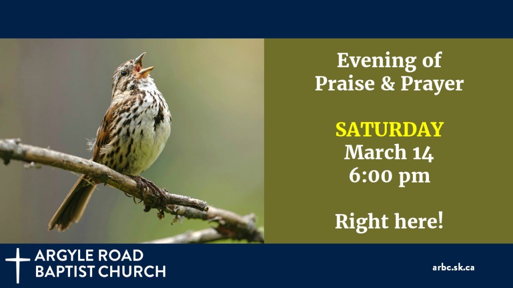 brown and grey bird singing from a bare branch