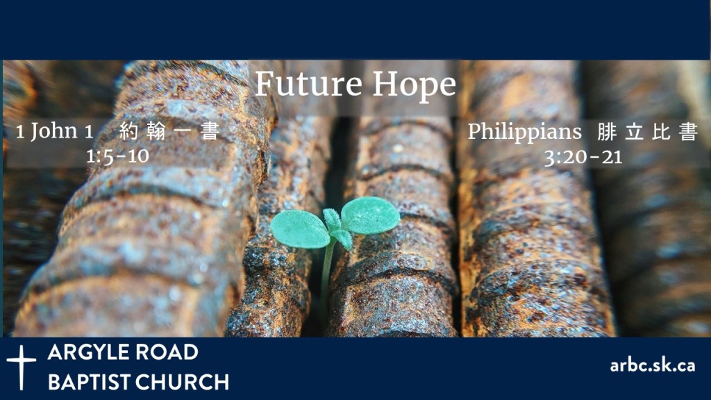 a single green sprout in the midst of rows of rusty metal rebar.