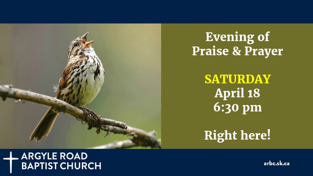 sparrow sitting on a branch, singing