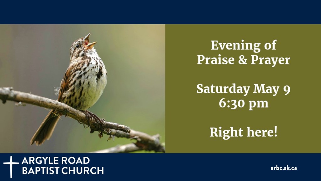 bird on a branch, singing